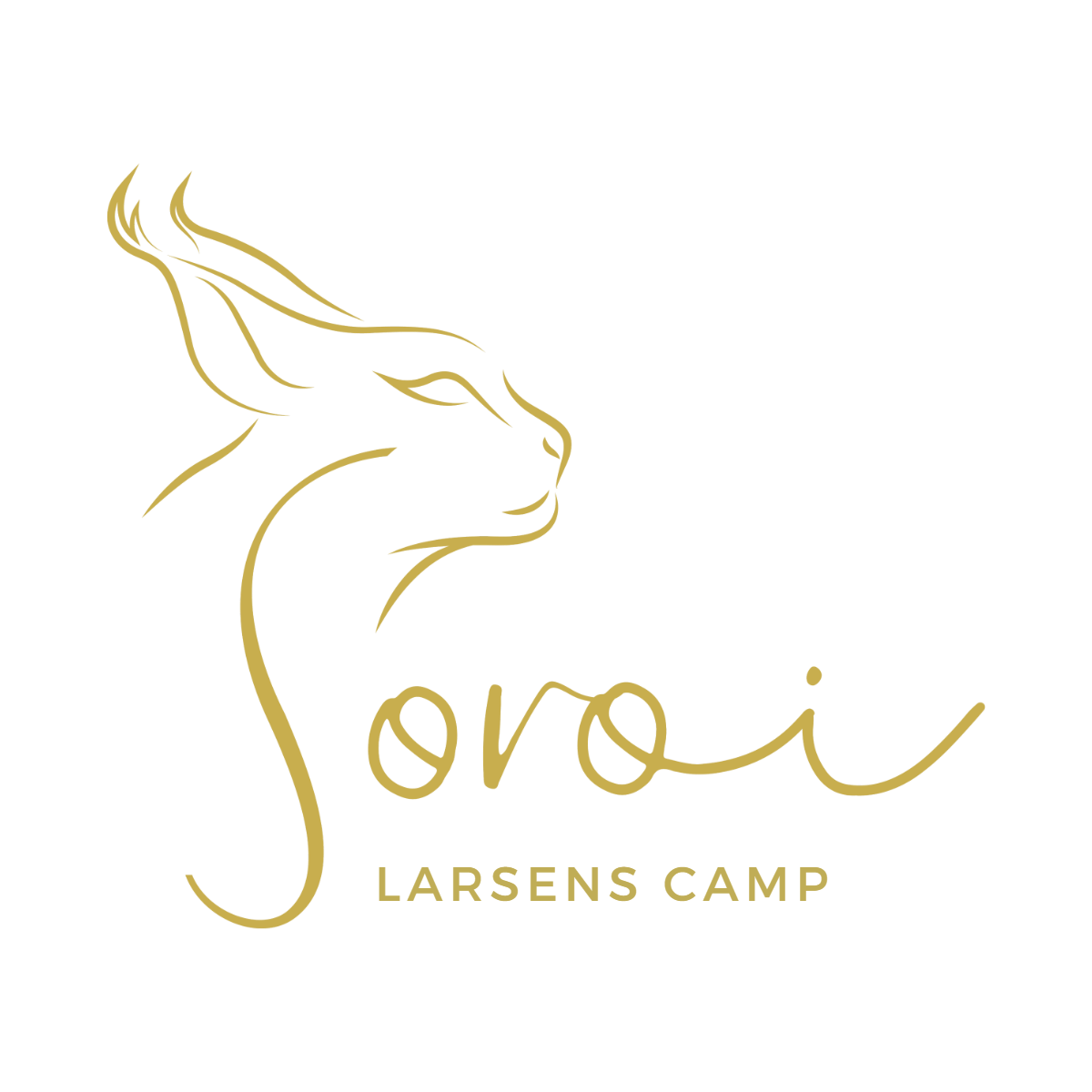 Soroi Larsens Camp